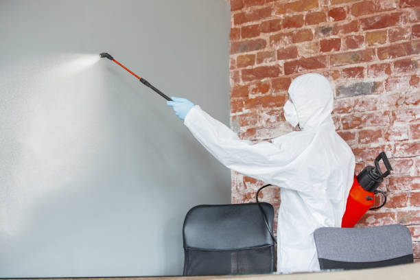 Professional Mold Removal in Waupaca, WI