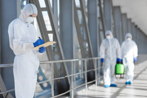 Best Basement Mold Removal  in Waupaca, WI