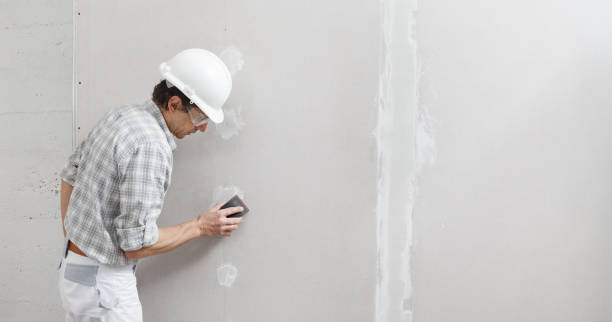 Best Post-Construction Mold Inspection  in Waupaca, WI