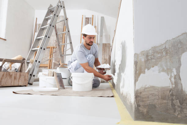 Best Emergency Mold Remediation  in Waupaca, WI