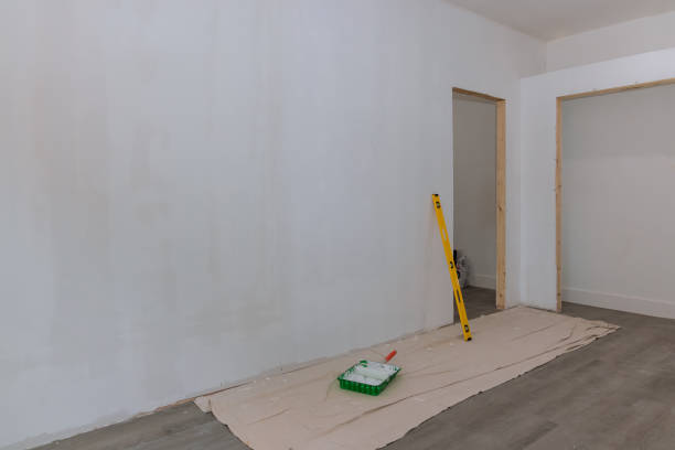 Best Mold Damage Restoration  in Waupaca, WI