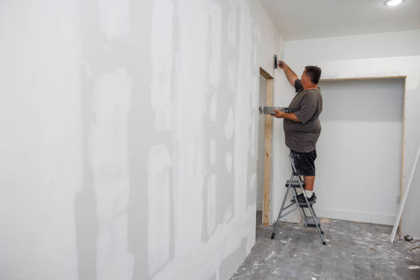 Best Dehumidification Services  in Waupaca, WI