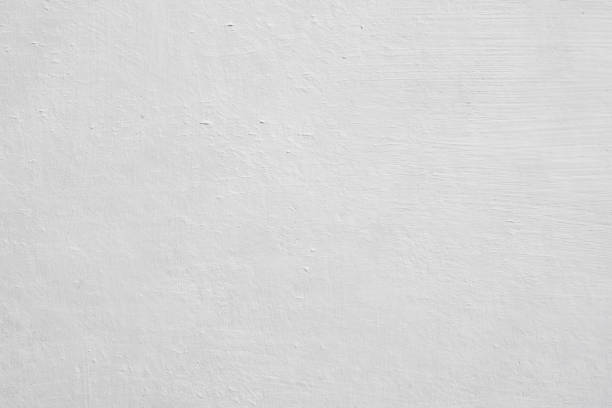 Best Attic Mold Removal  in Waupaca, WI