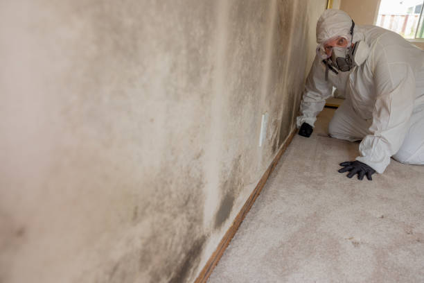 Best Mold Odor Removal Services  in Waupaca, WI